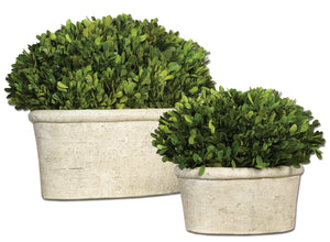 Uttermost Oval Domes Preserved Boxwood Set of 2