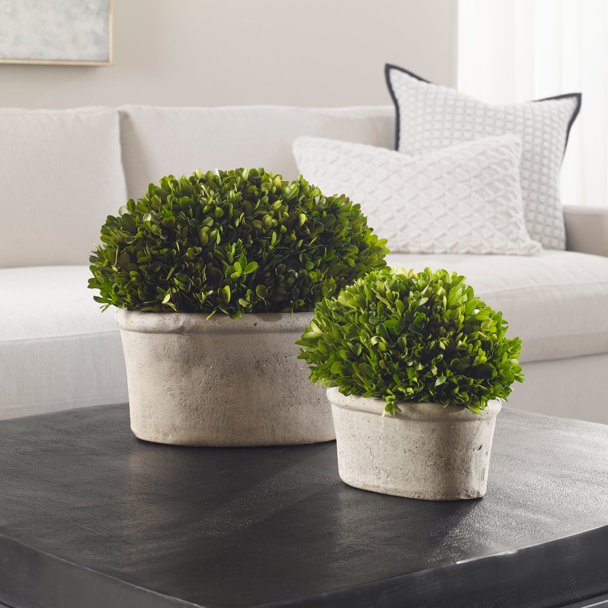Uttermost Preserved Boxwood Oval Domes - Thumbnail 5