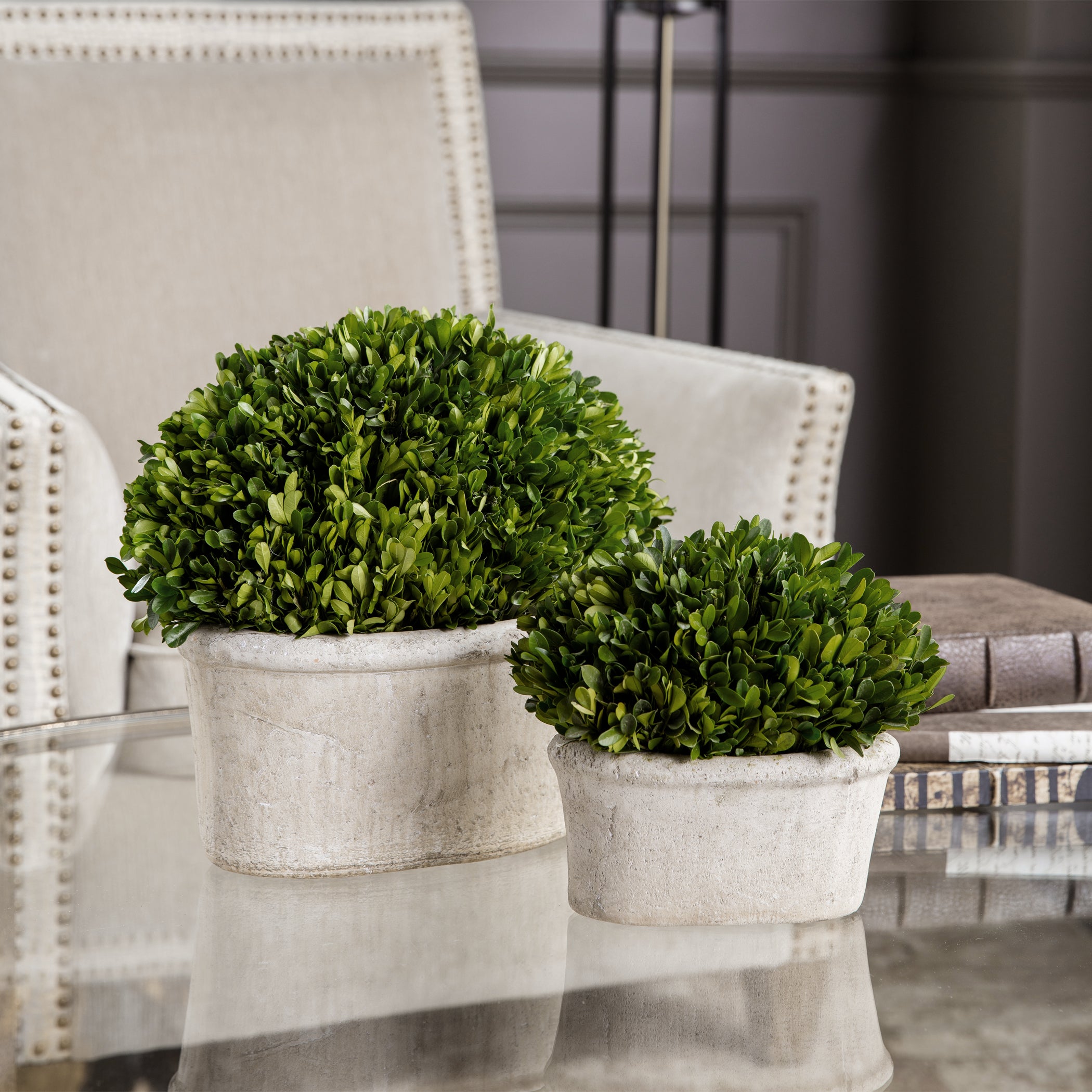 Uttermost Preserved Boxwood Oval Domes