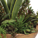 Uttermost Salar Succulents In Teak Bowl