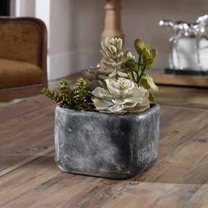 Uttermost Alverio Desert Garden Succulents
