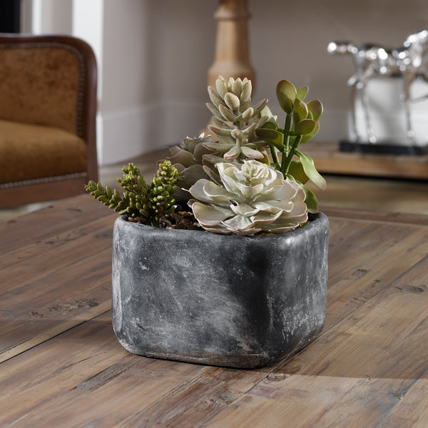Uttermost Alverio Desert Garden Succulents