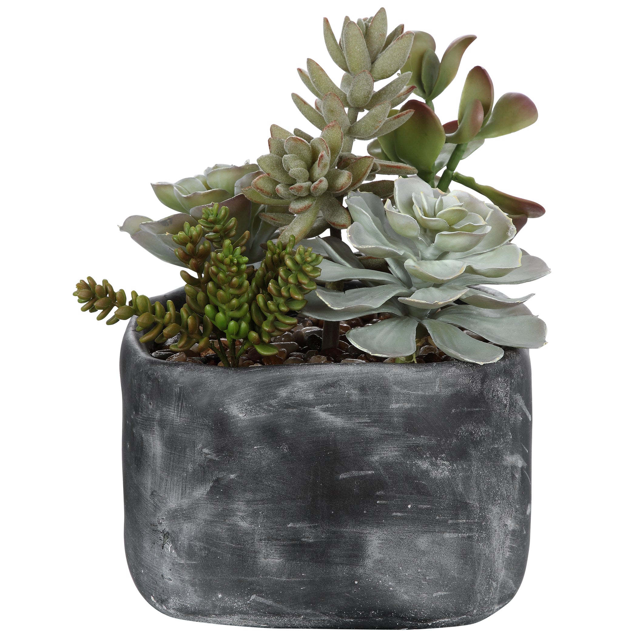 Uttermost Alverio Desert Garden Succulents - Thumbnail 5