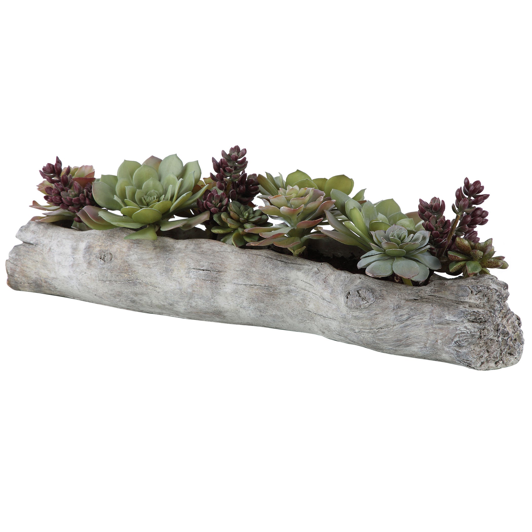 Uttermost Charita Succulents