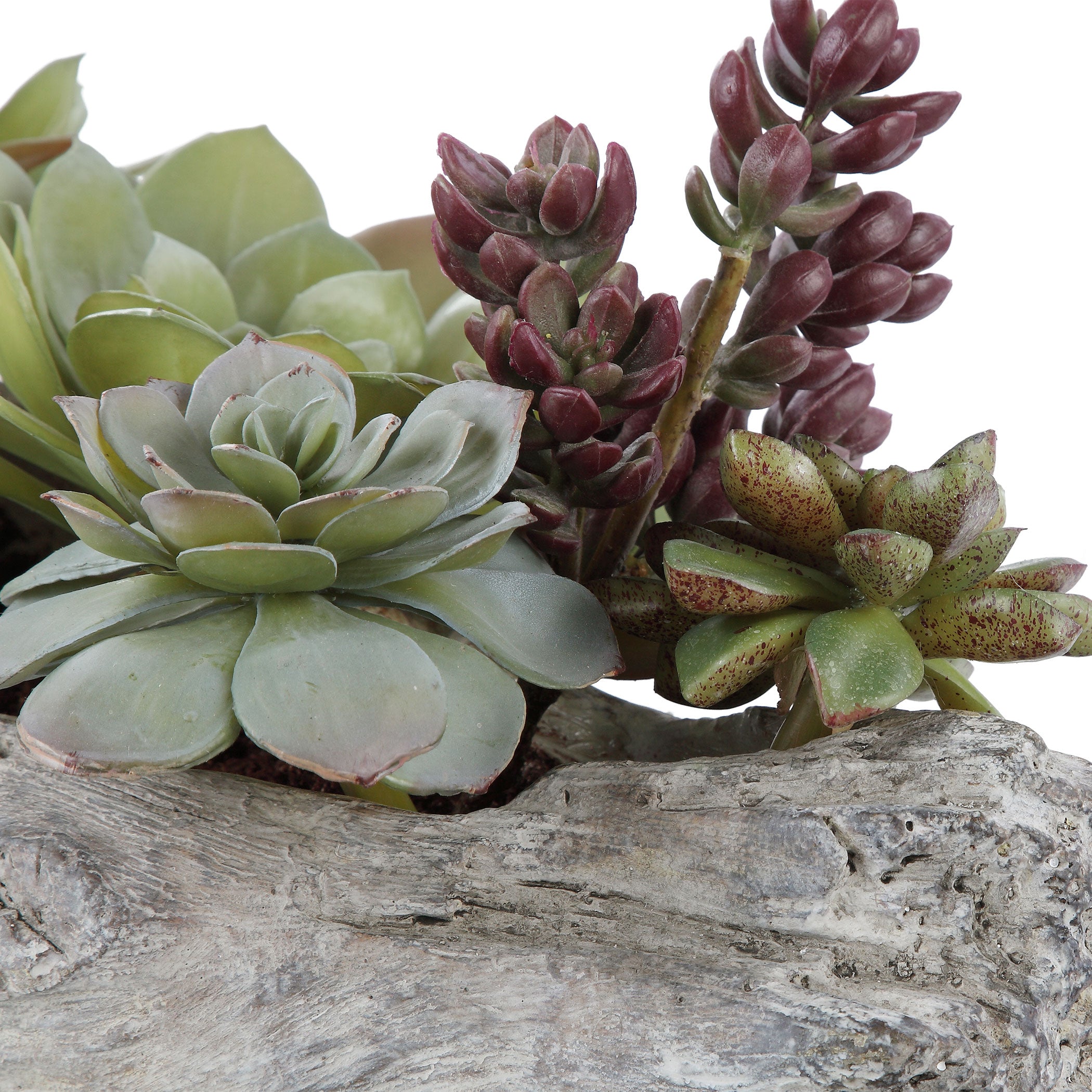Uttermost Charita Succulents - Thumbnail 4