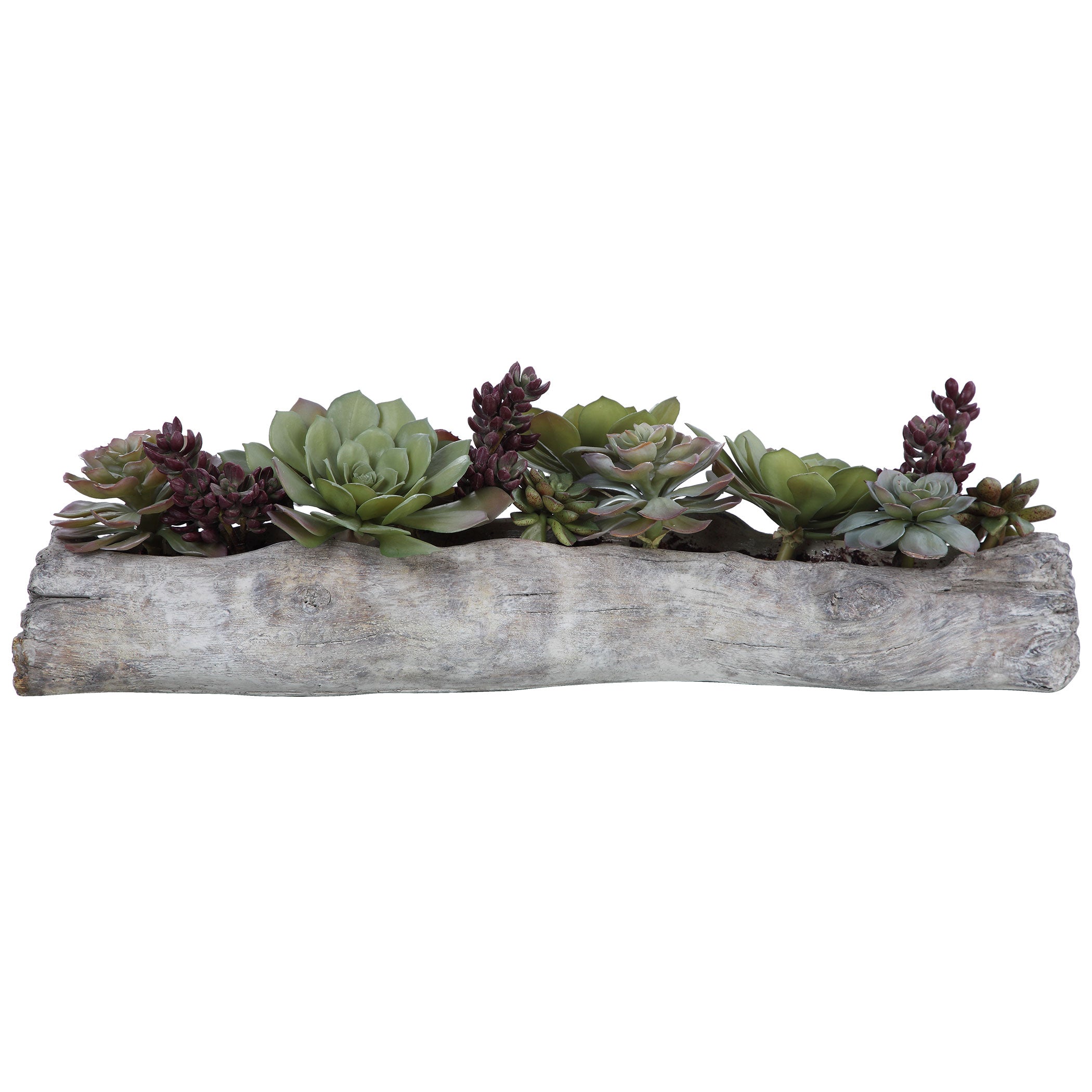 Uttermost Charita Succulents - Thumbnail 2