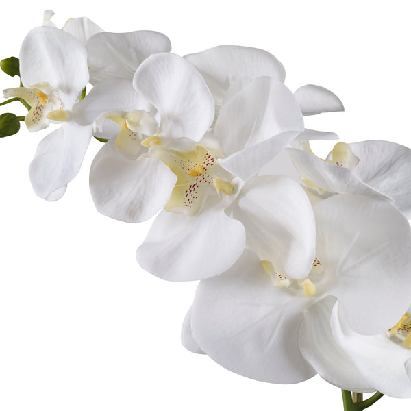 Uttermost Cami White Orchid