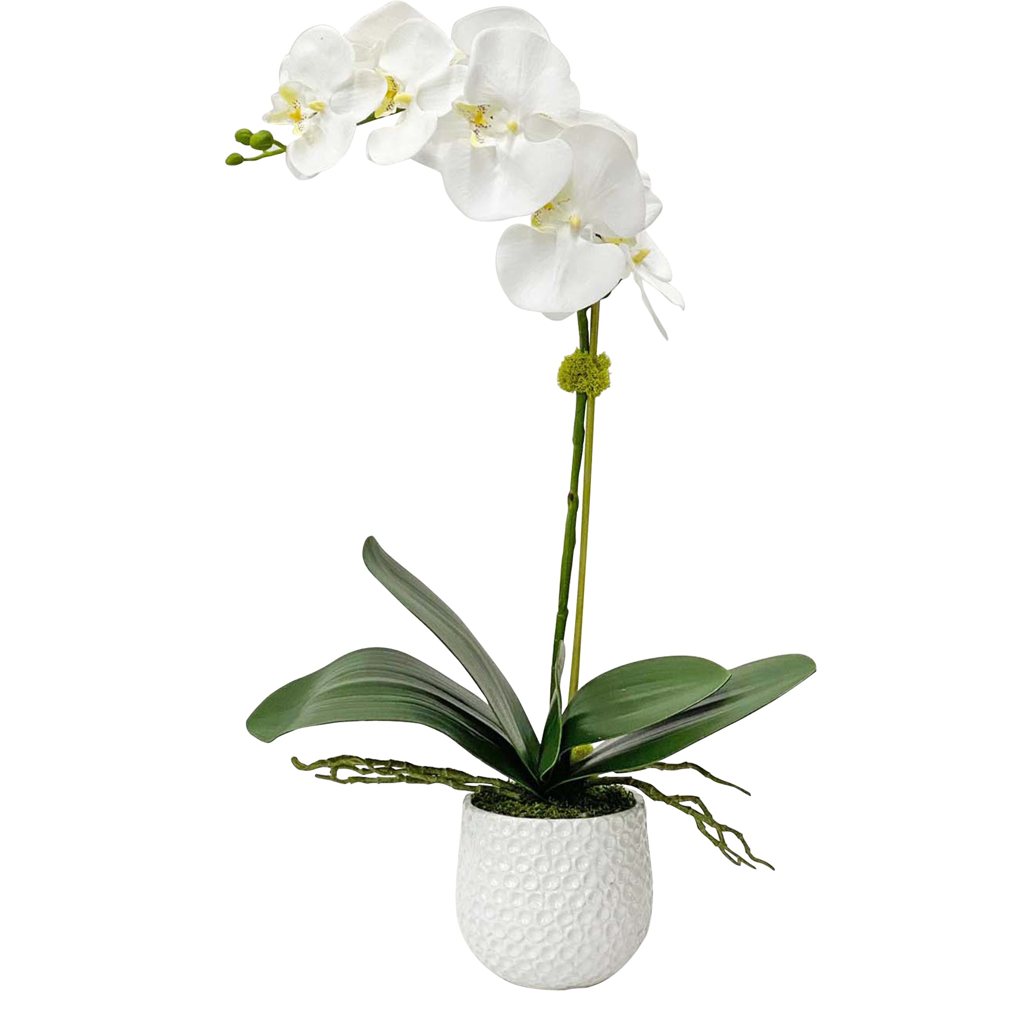 Uttermost Cami Orchid Arrangement - Thumbnail 4