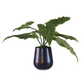 Uttermost Mari Calla Accent Plant