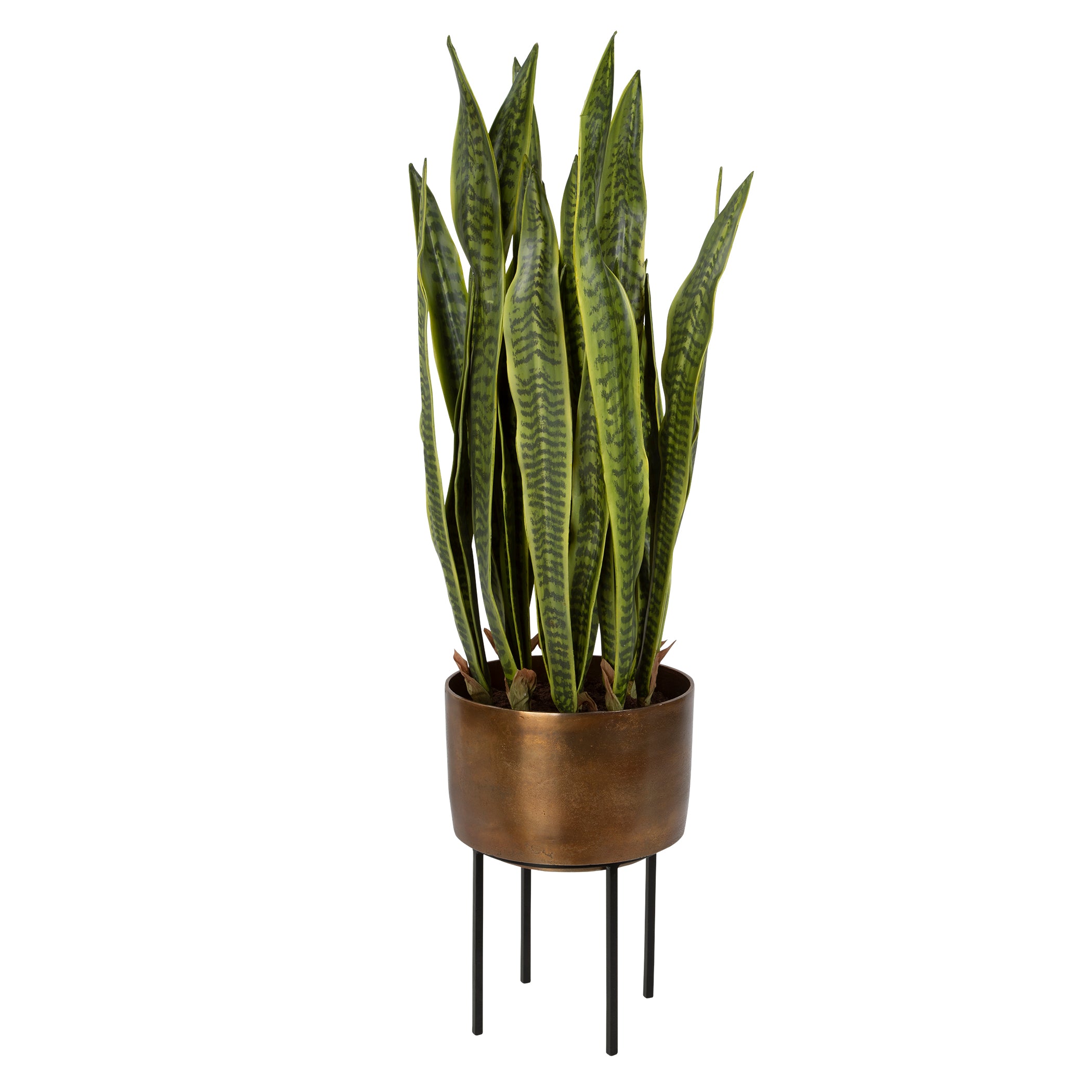 Uttermost Fasita Planter - Thumbnail 3