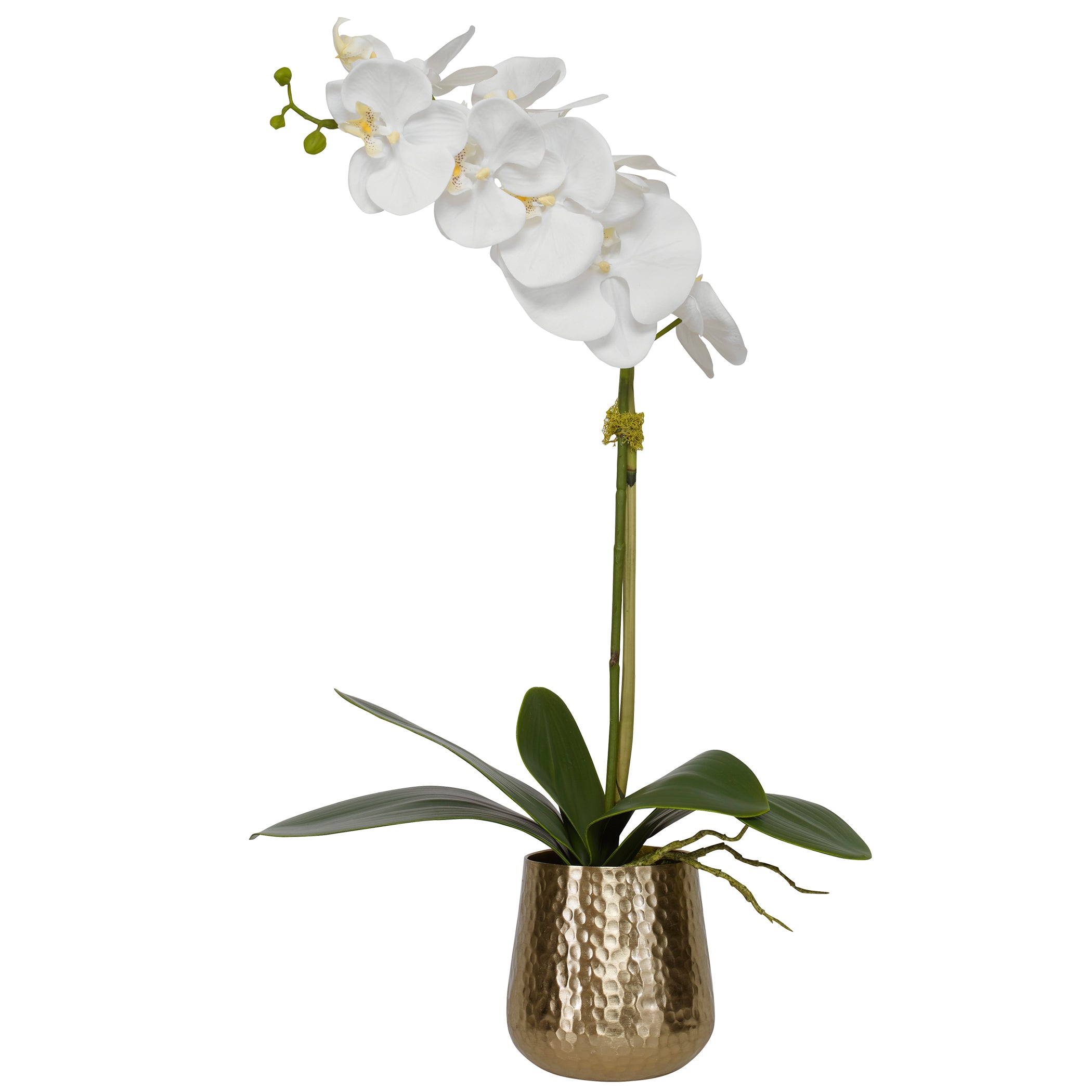 Uttermost Cami Orchid Arrangement - Thumbnail 3