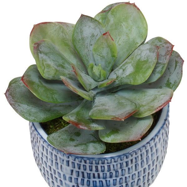 Uttermost Puebla Greenery In Blue & White Pots - Set of 3