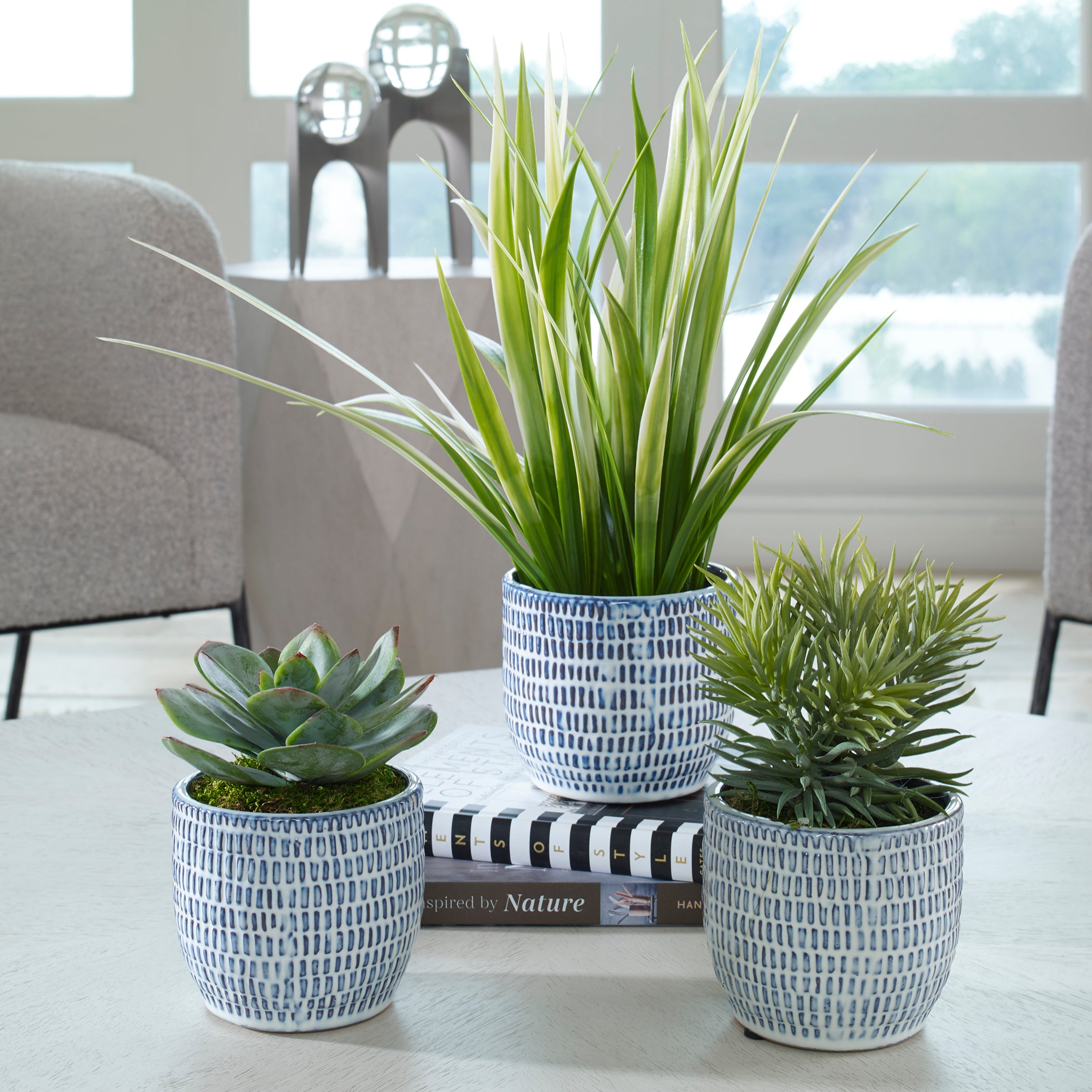 Puebla Stunning Succulent Trio in Handcrafted Blue & White Ceramic Pots - Thumbnail 2