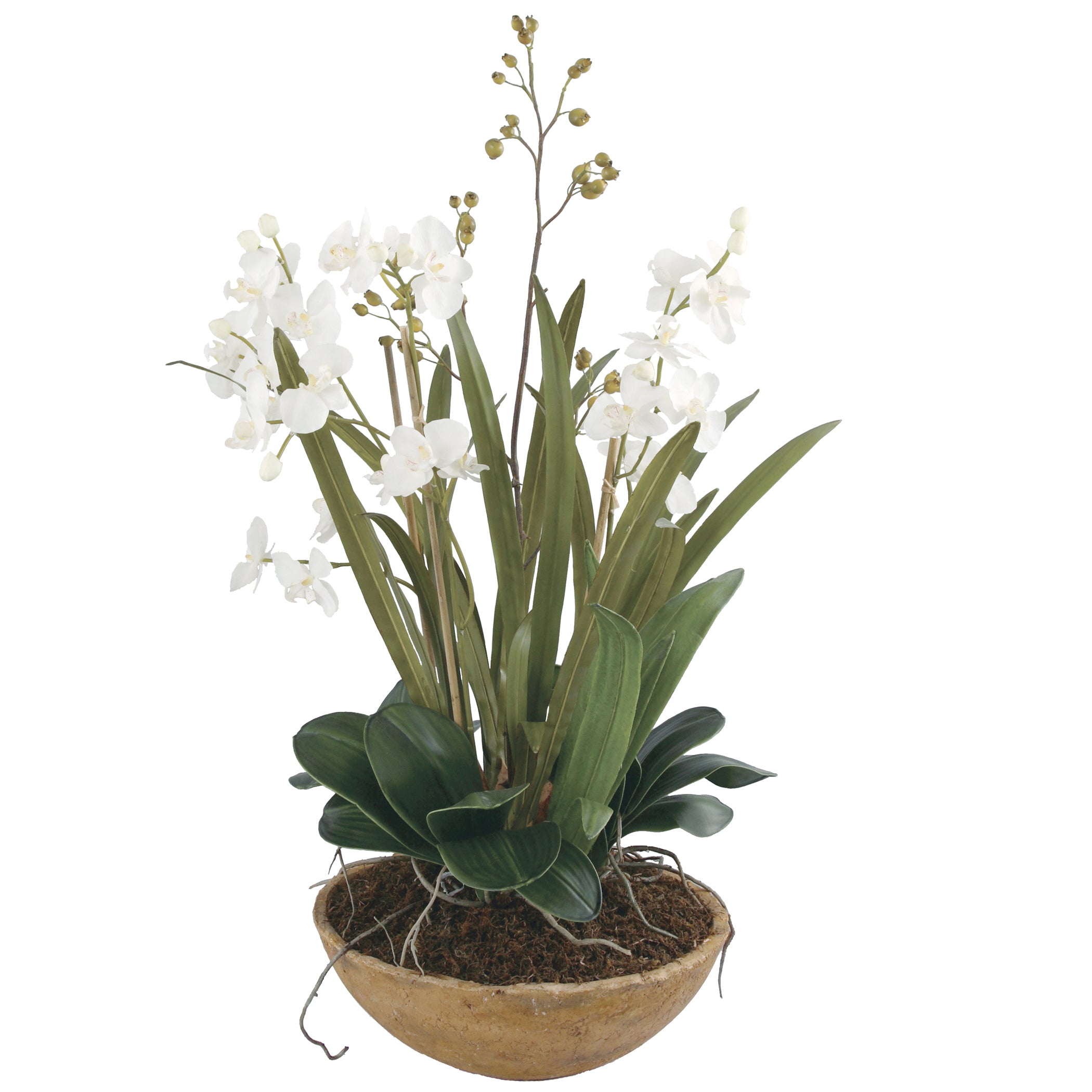 Uttermost Moth Orchid Planter - Thumbnail 3