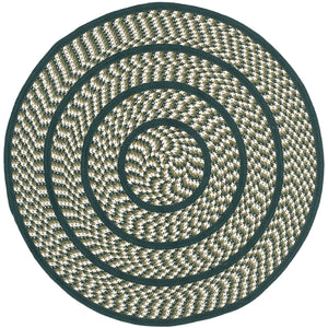 Safavieh Braided Reversible Hand Woven Reversible Polypropylene Rug BRD401B-4R