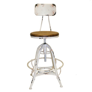 Shatana Home Bruce Counter Stool White (Set Of 2)