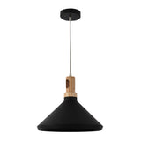 1 Light Pendant In Black Finish