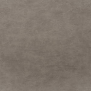 Safavieh Raylee Counter Stool BST3015A