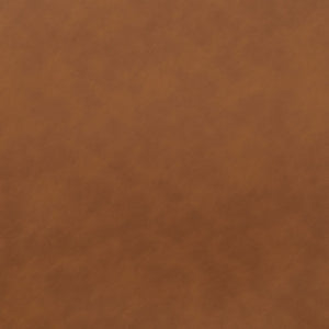 Safavieh Raylee Counter Stool BST3015B