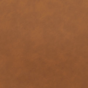 Safavieh Kynlee Gas Lift Barstool BST3016B