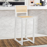 Safavieh Seika Rattan Bar Stool BST9503B