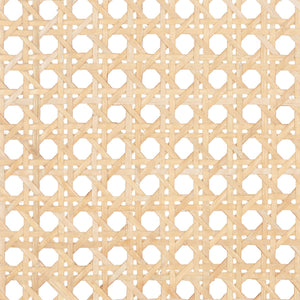 Safavieh Silus Backless Cane Counter Stool BST9504C