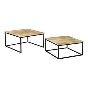 Moe's Home Hollis Nesting Coffee Table Set BV-1020-24