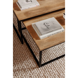 Moe's Home Hollis Nesting Coffee Table Set BV-1020-24