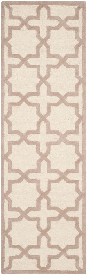 Safavieh Cambridge 125 Hand Tufted Wool Rug CAM125P-28