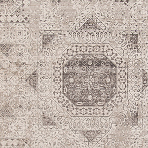 AMER Rugs Cambridge CAM-31 Power-Loomed Medallion Transitional Area Rug Gray 9'6" x 13'9"