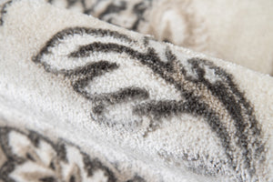 Momeni Carroll Gardens CG-01 Machine Made Transitional Floral Indoor Area Rug Ivory 9'3" x 12'6" CAROLCG-01IVY93C6