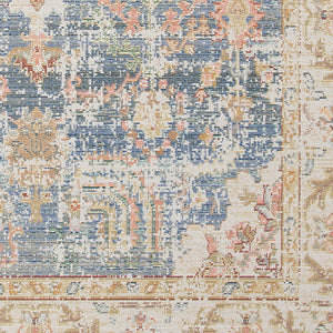 AMER Rugs Century CEN-18 Power-Loomed Bordered Transitional Area Rug Blue 7'10" x 10'6"