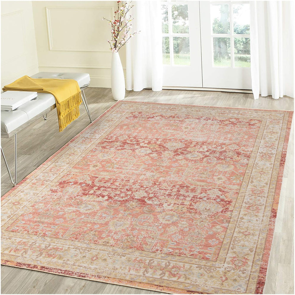 AMER Rugs Century CEN-8 Power-Loomed Bordered Transitional Area Rug Salmon 7'10" x 10'6"