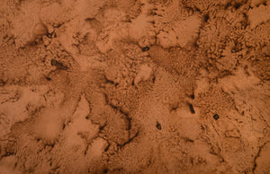 Wedge Coffee Table, Von Braun Finish