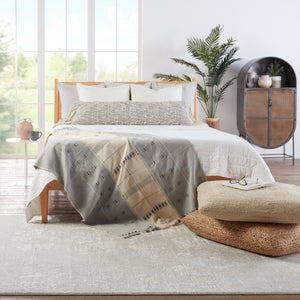 Jaipur Living Alcina Abstract Light Gray/ Cream Area Rug (4'X6')