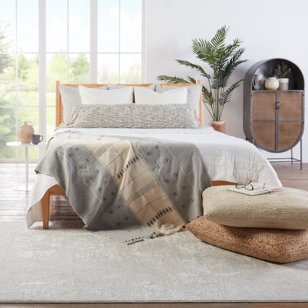 Jaipur Living Alcina Abstract Light Gray/ Cream Area Rug (4'X6')