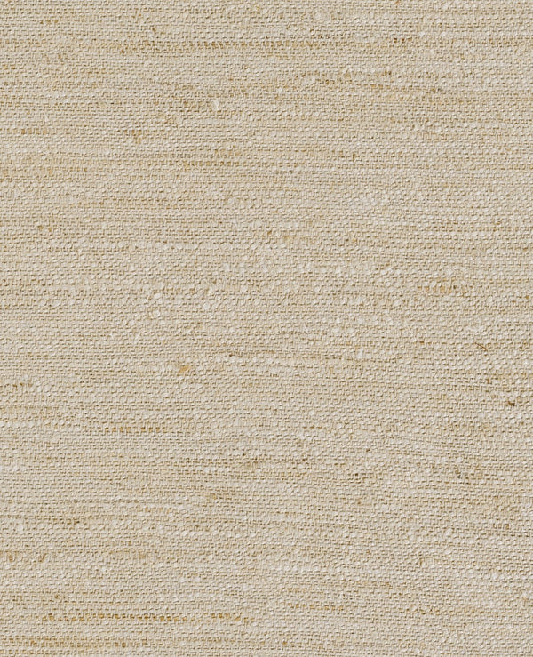 Momeni Clara CLA-2 Hand Woven Contemporary Solid Indoor Area Rug Ivory 10' x 14' CLARACLA-2IVYA0E0