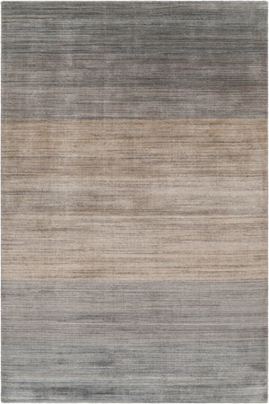 Chandra Rugs Cleo 50% Viscose + 30% Wool + 20% Cotton Hand-Woven Contemporary Rug Grey/Beige 9' x 13'
