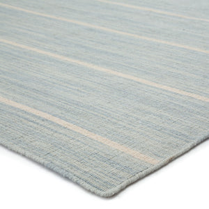 Jaipur Living Coastal Shores Cape Cod COH16 Handwoven Handmade Indoor Nautical Rug Blue 6' x 9'
