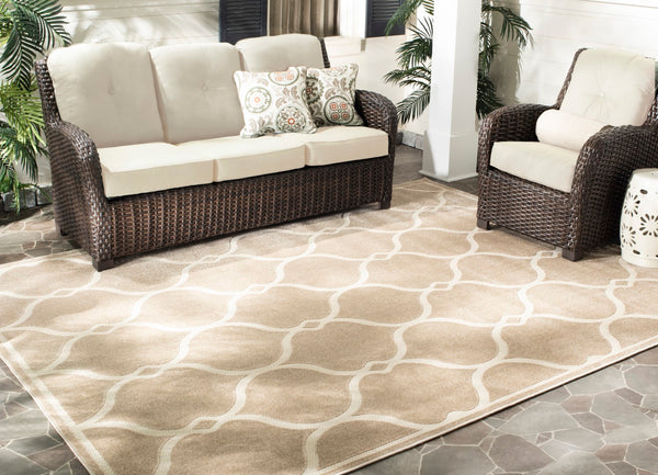 Safavieh Cottage 2019 Power Loomed 100% Polypropylene Indoor/Outdoor Rug COTS482B-8