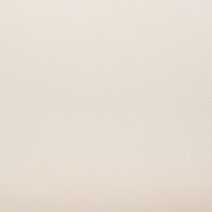 Safavieh Julianne Brazilian Teak Patio Chair CPT1031A