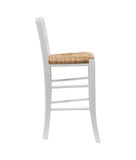 Emilo Counter Stool White Set of 2