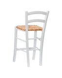 Emilo Counter Stool White Set of 2