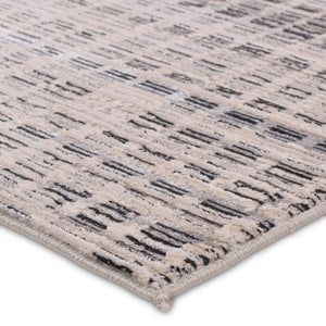 Jaipur Living Catalyst Siran CTY32 Powerloomed Machine Made Indoor Modern Rug Gray 9'3" x 13'