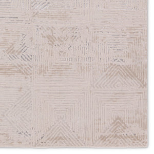 Jaipur Living Catalyst Rehan CTY33 Powerloomed Machine Made Indoor Modern Rug Light Gray 9'3" x 13'