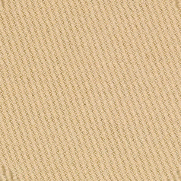 Safavieh Cy1551 Power Loomed 85.4% Polypropylene/10.4% Polyester/4.2% Latex Outdoor Rug CY1551-3001-5R