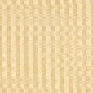 Safavieh Cy2099 Power Loomed 85.4% Polypropylene/10.4% Polyester/4.2% Latex Outdoor Rug CY2099-3101-4