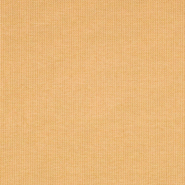 Safavieh Cy2099 Power Loomed 85.4% Polypropylene/10.4% Polyester/4.2% Latex Outdoor Rug CY2099-3701-4