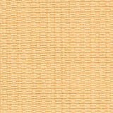 Safavieh Cy2666 Power Loomed 85.4% Polypropylene/10.4% Polyester/4.2% Latex Outdoor Rug CY2666-3001-4