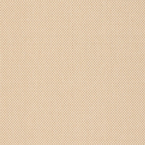 Safavieh Cy6011 PowerLoomed 85.4% Polypropylene/10.4% Polyester/4.2% Latex Indoor/Outdoor Rug CY6011-219-9